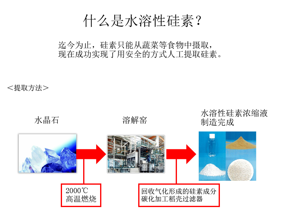 水溶性珪素とは