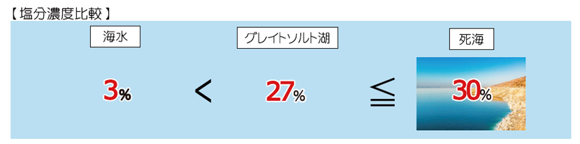 グレイトソルト湖はミネラルの宝庫